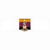 Bradford City Football Club Discount Codes