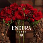 Endura Roses Discount Codes Endura Roses Discount Codes
